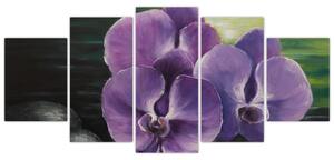 Obraz kvetov orchidey (Obraz 150x70cm)