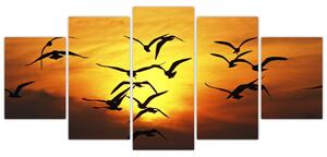Obraz letiacich vtákov (Obraz 150x70cm)