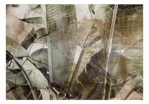 Fototapeta - Banánová džungľa + zadarmo lepidlo - 250x175