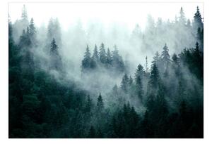Samolepiaca fototapeta - Horský les (tmavozelený) 98x70