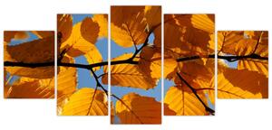 Jesenné lístie - obraz (Obraz 150x70cm)