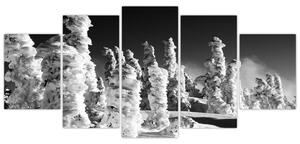 Obraz - zimné hory (Obraz 150x70cm)