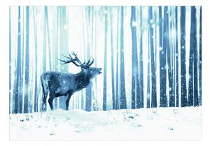 Samolepiaca fototapeta - Jeleň na snehu (modrá) 147x105