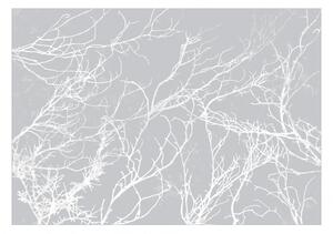 Fototapeta - Biele stromy