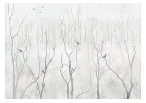 Fototapeta - Zimný les