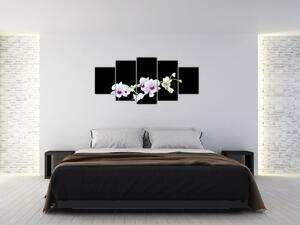Kvetina - obraz (Obraz 150x70cm)