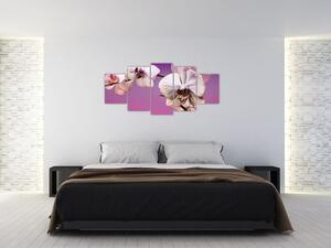 Moderné obrazy - orchidea (Obraz 150x70cm)