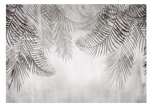 Fototapeta - Nočné palmy + zadarmo lepidlo - 200x140