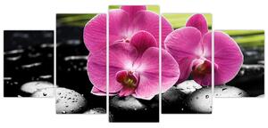 Fotka orchidey (Obraz 150x70cm)