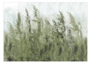 Samolepiaca fototapeta - Vysoké trávy (zelená) 147x105