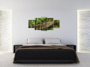Obraz - most v prírode (Obraz 150x70cm)