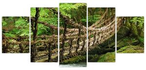 Obraz - most v prírode (Obraz 150x70cm)