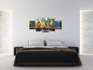 Obraz - papagáje (Obraz 150x70cm)