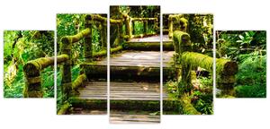 Schody v záhrade - obraz (Obraz 150x70cm)