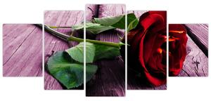Ležiaci ruža - obraz (Obraz 150x70cm)