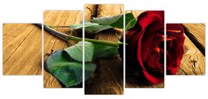 Ležiaci ruža - obraz (Obraz 150x70cm)