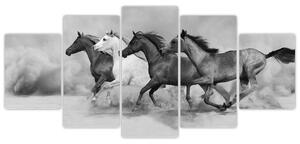 Obraz cválajúci koňov (Obraz 150x70cm)