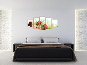 Tulipány, obraz (Obraz 150x70cm)