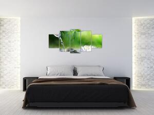 Relaxačný obraz na stenu (Obraz 150x70cm)