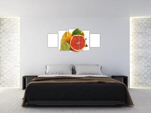 Citrusové plody - obraz (Obraz 150x70cm)