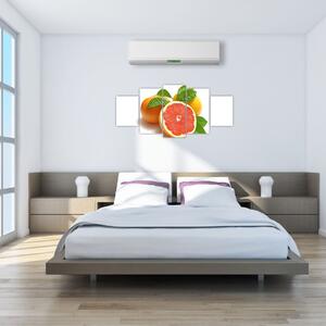 Grapefruit, obraz (Obraz 150x70cm)