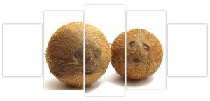 Kokosový orech, obraz (Obraz 150x70cm)