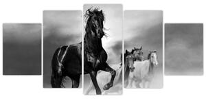Čiernobiely obraz koňov (Obraz 150x70cm)