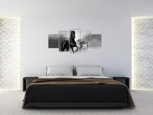 Čiernobiely obraz koňov (Obraz 150x70cm)