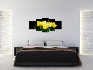 Tulipány - obraz (Obraz 150x70cm)