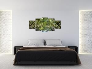 Aleje stromov - obraz (Obraz 150x70cm)