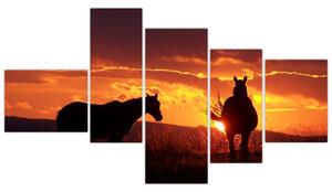Obraz - kone pri západe slnka (Obraz 150x85cm)