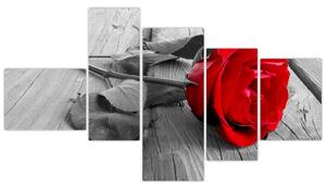 Obraz ruže s červeným kvetom (Obraz 150x85cm)