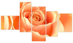 Obraz oranžové ruže (Obraz 150x85cm)
