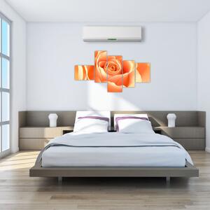 Obraz oranžové ruže (Obraz 150x85cm)