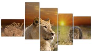 Obrazy zvierat (Obraz 150x85cm)