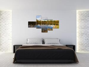 Obraz na stenu - lesné jazierko (Obraz 150x85cm)
