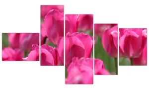 Obraz tulipánov (Obraz 150x85cm)