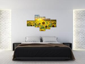 Obraz slnečníc (Obraz 150x85cm)