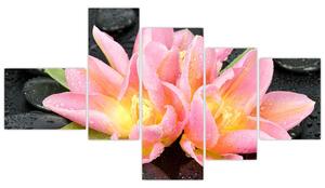 Obraz kvetov (Obraz 150x85cm)