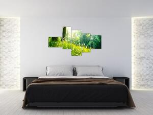 Moderné obrazy prírody (Obraz 150x85cm)