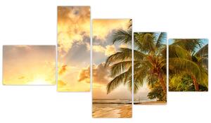 Obraz palmy na piesočnatej pláži (Obraz 150x85cm)
