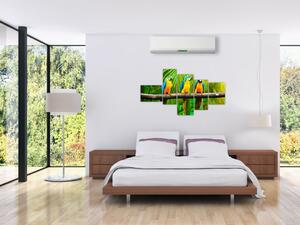 Moderný obraz - papagáje (Obraz 150x85cm)