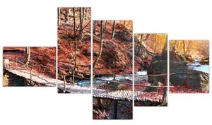 Obraz mosta - jesenné cesta lesom (Obraz 150x85cm)