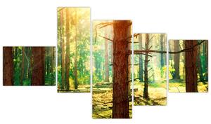 Moderný obraz - les (Obraz 150x85cm)