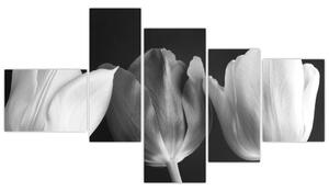 Čiernobiely obraz - tri tulipány (Obraz 150x85cm)