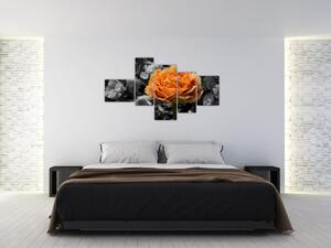 Oranžový kvet na čiernobielom pozadí - obraz (Obraz 150x85cm)