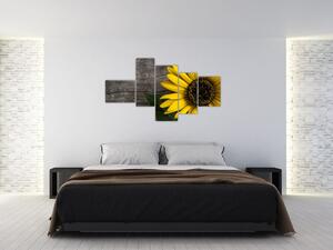 Obraz slnečnice na stole (Obraz 150x85cm)