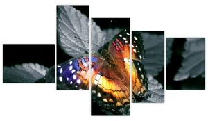 Motýľ na liste - obraz (Obraz 150x85cm)