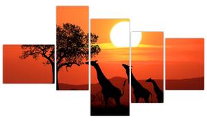 Obraz žirafy pri západe slnka (Obraz 150x85cm)