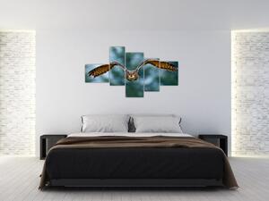 Obraz letiaci sovy (Obraz 150x85cm)
